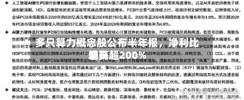 多只算力概念股公布半年报，净利比较高增长超200%