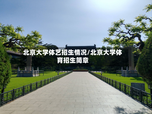 北京大学体艺招生情况/北京大学体育招生简章-第3张图片
