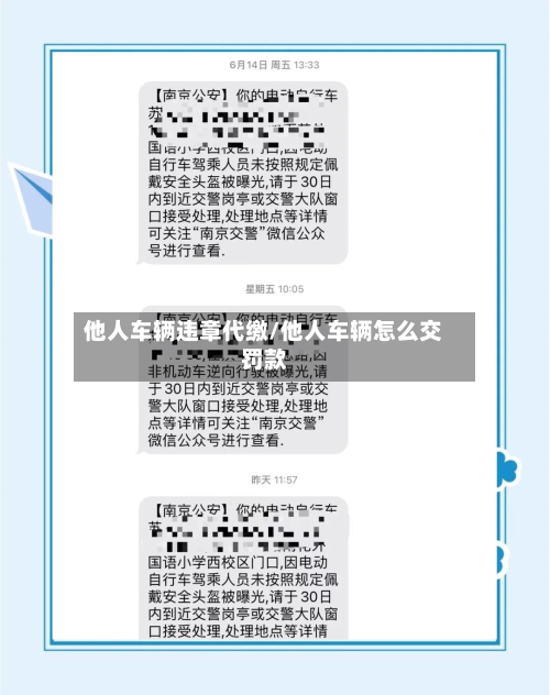 他人车辆违章代缴/他人车辆怎么交罚款-第3张图片