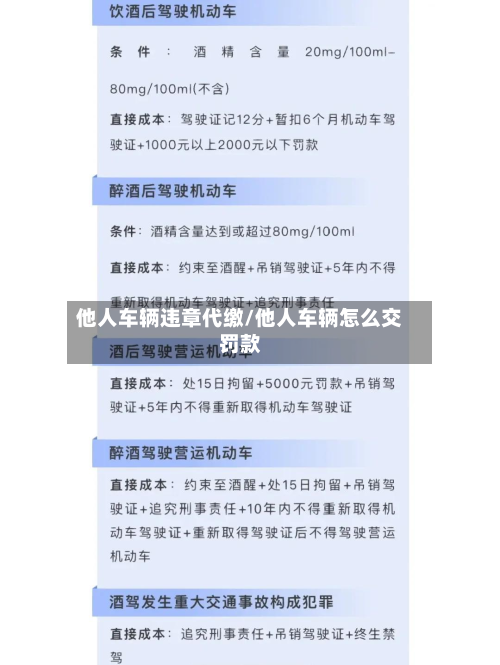 他人车辆违章代缴/他人车辆怎么交罚款-第2张图片