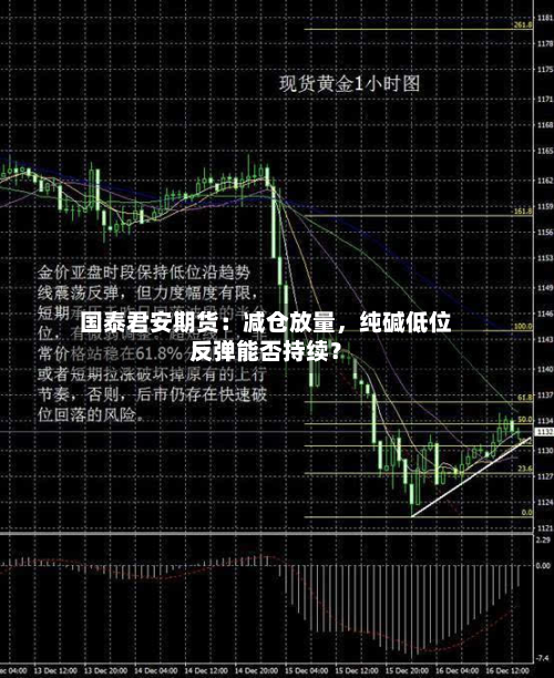 国泰君安期货：减仓放量，纯碱低位反弹能否持续？-第2张图片