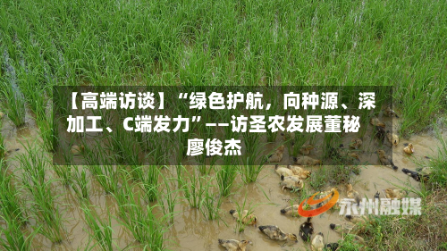【高端访谈】“绿色护航	，向种源、深加工、C端发力”——访圣农发展董秘廖俊杰-第2张图片