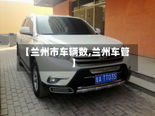 【兰州市车辆数,兰州车管】-第3张图片