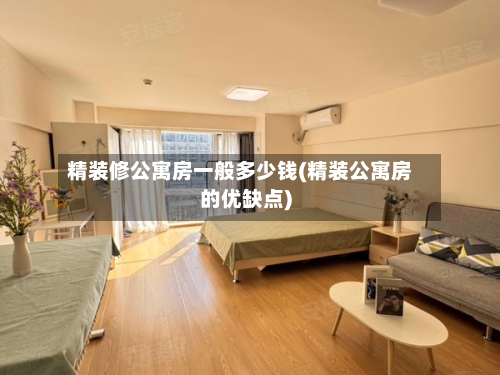 精装修公寓房一般多少钱(精装公寓房的优缺点)-第2张图片