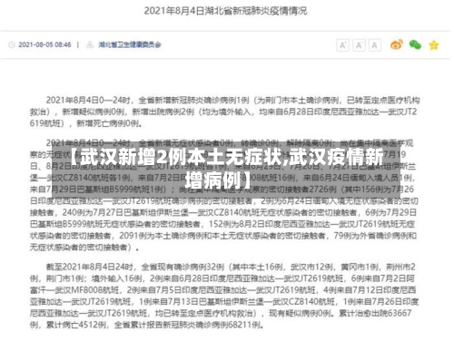 【武汉新增2例本土无症状,武汉疫情新增病例】-第3张图片