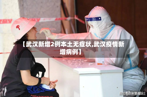 【武汉新增2例本土无症状,武汉疫情新增病例】-第2张图片