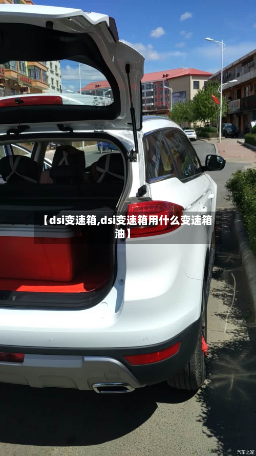 【dsi变速箱,dsi变速箱用什么变速箱油】