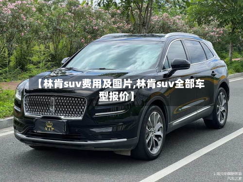 【林肯suv费用及图片,林肯suv全部车型报价】-第3张图片