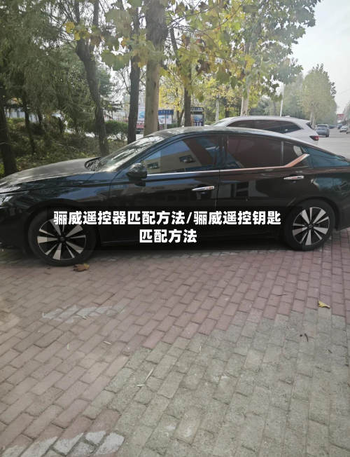骊威遥控器匹配方法/骊威遥控钥匙匹配方法