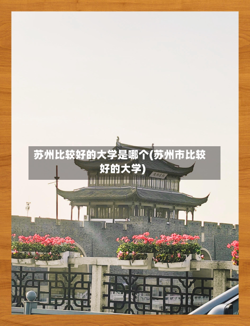 苏州比较好的大学是哪个(苏州市比较好的大学)-第3张图片