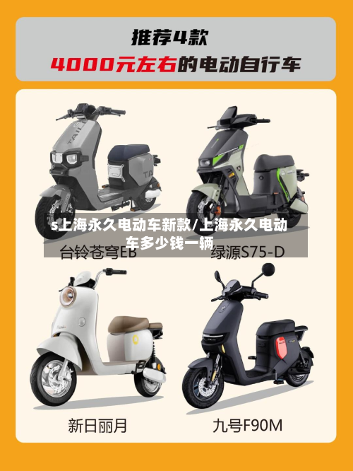 s上海永久电动车新款/上海永久电动车多少钱一辆