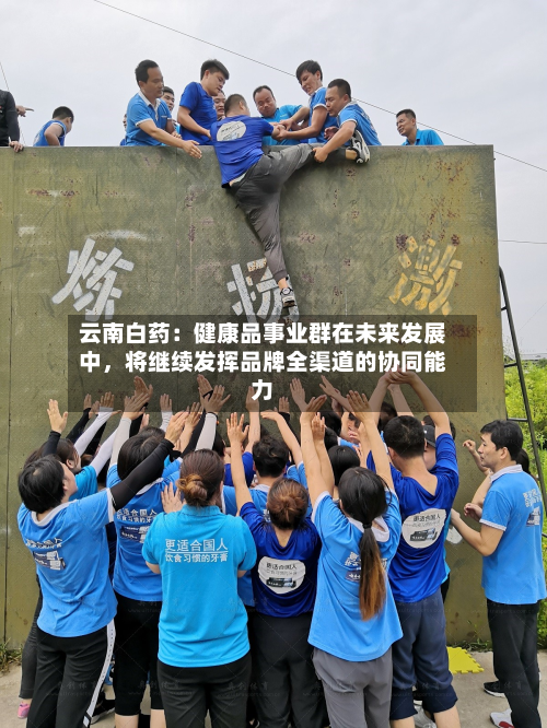 云南白药：健康品事业群在未来发展中	，将继续发挥品牌全渠道的协同能力-第1张图片