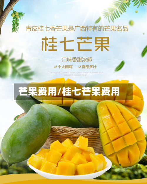 芒果费用/桂七芒果费用-第3张图片
