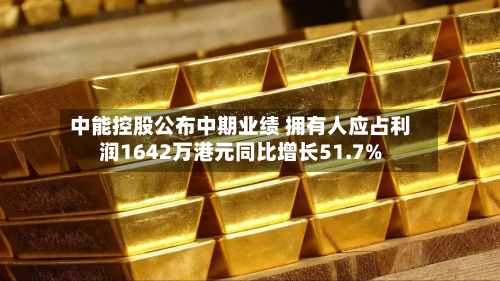 中能控股公布中期业绩 拥有人应占利润1642万港元同比增长51.7%-第1张图片