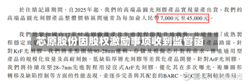 芯原股份因股权激励事项收到监管函-第1张图片