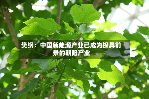樊纲：中国新能源产业已成为极具前景的朝阳产业