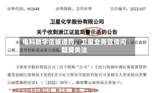 电科数字信披遭罚，卫星业务宣传问题受关注-第2张图片
