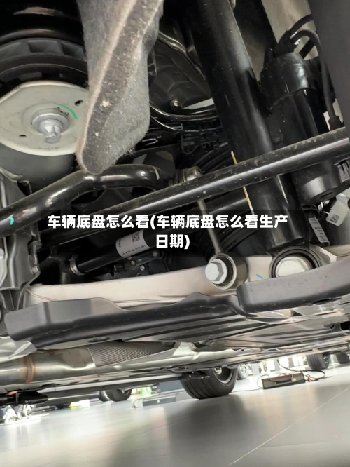 车辆底盘怎么看(车辆底盘怎么看生产日期)