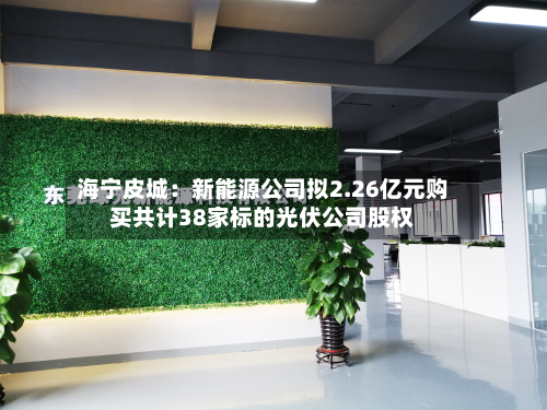 海宁皮城：新能源公司拟2.26亿元购买共计38家标的光伏公司股权-第3张图片