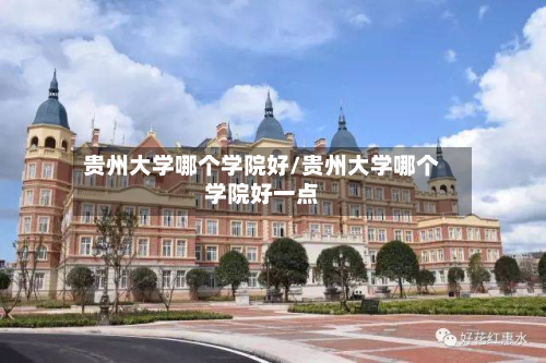 贵州大学哪个学院好/贵州大学哪个学院好一点