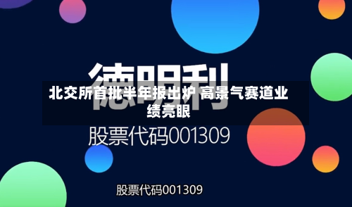 北交所首批半年报出炉 高景气赛道业绩亮眼