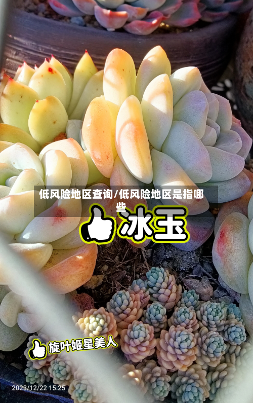 低风险地区查询/低风险地区是指哪些