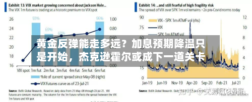 黄金反弹能走多远？加息预期降温只是开始，杰克逊霍尔或成下一道关卡-第3张图片