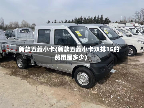 新款五菱小卡(新款五菱小卡双排15的费用是多少)