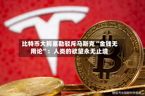 比特币大鳄塞勒驳斥马斯克“金钱无用论”：人类的欲望永无止境-第2张图片