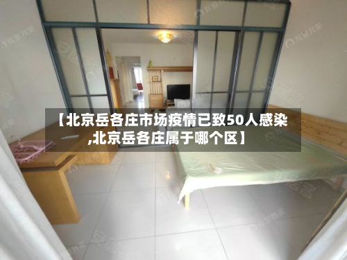 【北京岳各庄市场疫情已致50人感染,北京岳各庄属于哪个区】-第3张图片