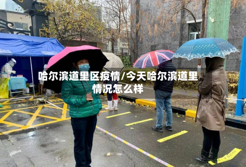 哈尔滨道里区疫情/今天哈尔滨道里情况怎么样-第2张图片