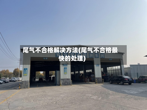 尾气不合格解决方法(尾气不合格最快的处理)-第2张图片