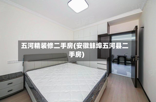 五河精装修二手房(安徽蚌埠五河县二手房)-第2张图片