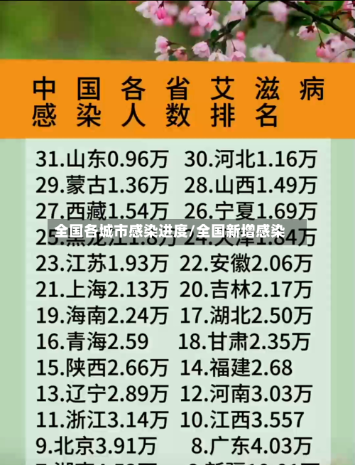 全国各城市感染进度/全国新增感染