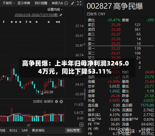 高争民爆：上半年归母净利润3245.04万元，同比下降53.11%-第2张图片