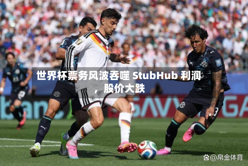 世界杯票务风波吞噬 StubHub 利润，股价大跌