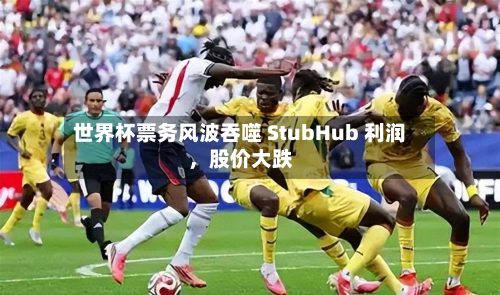 世界杯票务风波吞噬 StubHub 利润，股价大跌-第2张图片