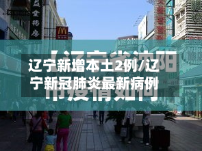 辽宁新增本土2例/辽宁新冠肺炎最新病例