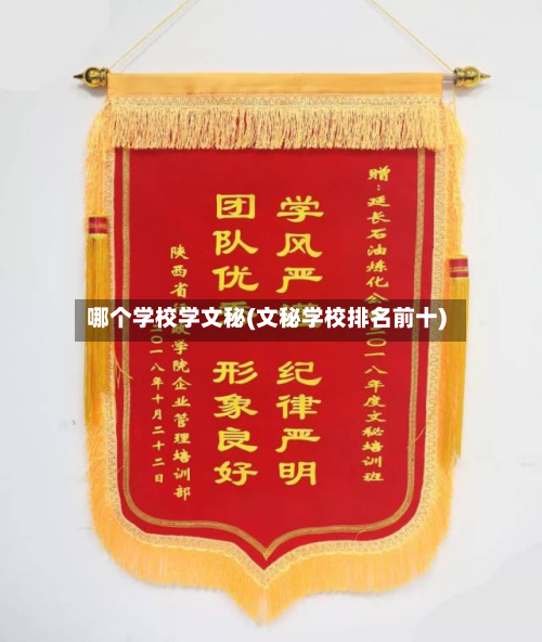 哪个学校学文秘(文秘学校排名前十)-第3张图片