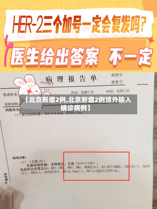 【北京新增2例,北京新增2例境外输入确诊病例】