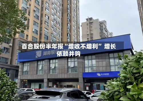 百合股份半年报“增收不增利” 增长依赖并购-第2张图片