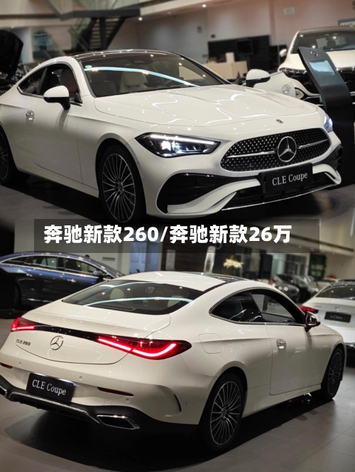 奔驰新款260/奔驰新款26万-第2张图片