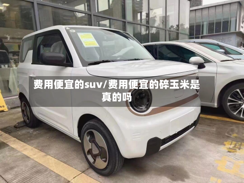 费用便宜的suv/费用便宜的碎玉米是真的吗