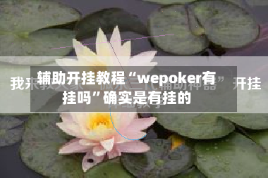 辅助开挂教程“wepoker有挂吗”确实是有挂的-第2张图片