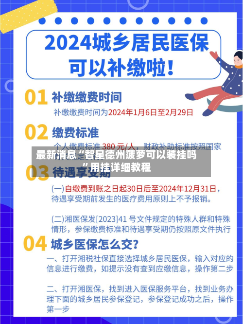 最新消息“智星德州菠萝可以装挂吗	”用挂详细教程-第2张图片