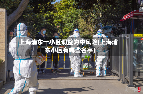 上海浦东一小区调整为中风险(上海浦东小区有哪些名字)