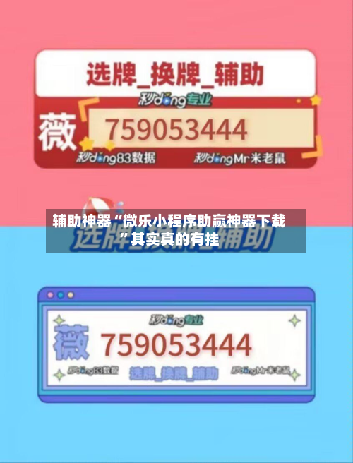 辅助神器“微乐小程序助赢神器下载”其实真的有挂-第3张图片