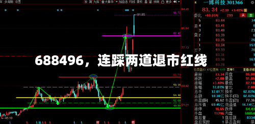 688496，连踩两道退市红线-第2张图片