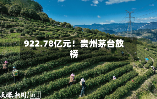 922.78亿元！贵州茅台放榜