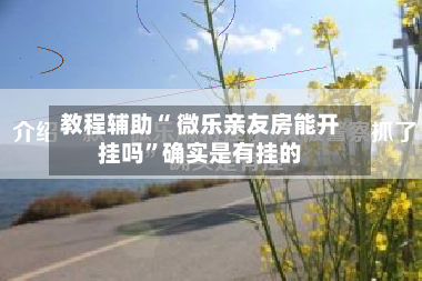 教程辅助“ 微乐亲友房能开挂吗”确实是有挂的